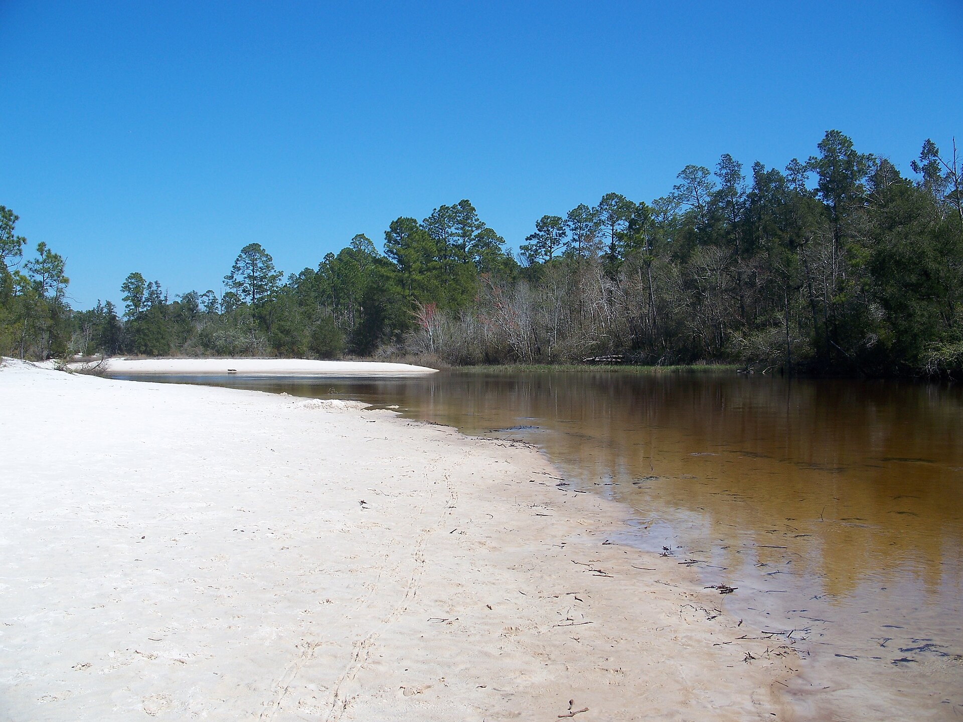 The Blackwater River in Blackwater River State Park.