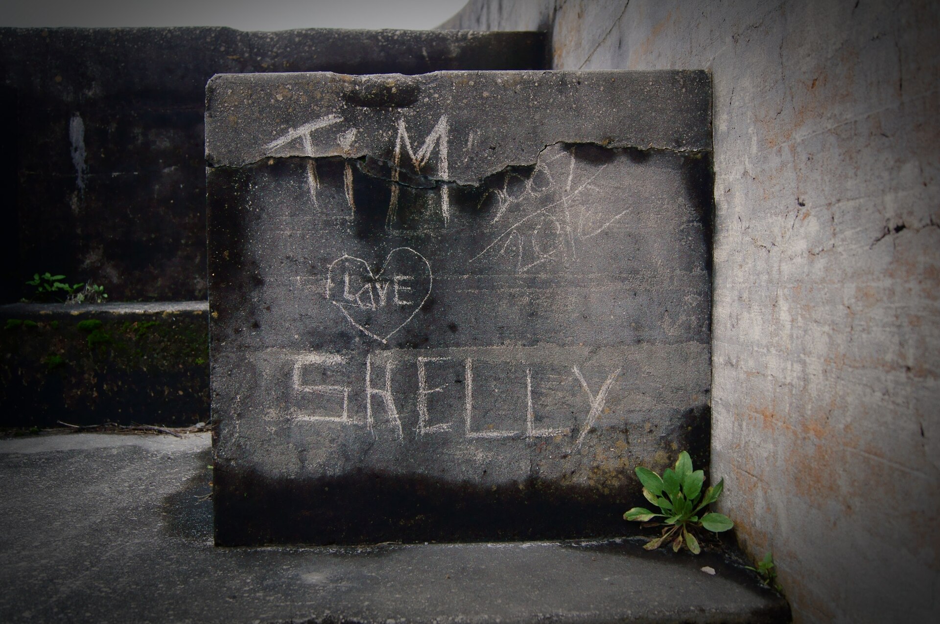Visiting an old fort in Pensacola Flordia , I came upon this step engraved with the the words "Tim Loves Shelly". These two people I have never meet…